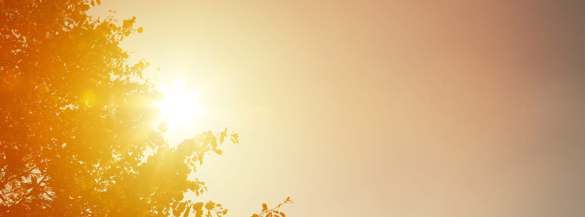 Urban Heat Island $5 Million Grant 